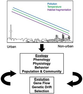 Urbanization Shapes the Ecology and Evolution of Plant-Arthropod Herbivore Interactions
